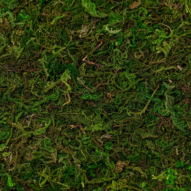Moss Mat by Ashland®