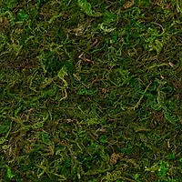 Moss Mat by Ashland®