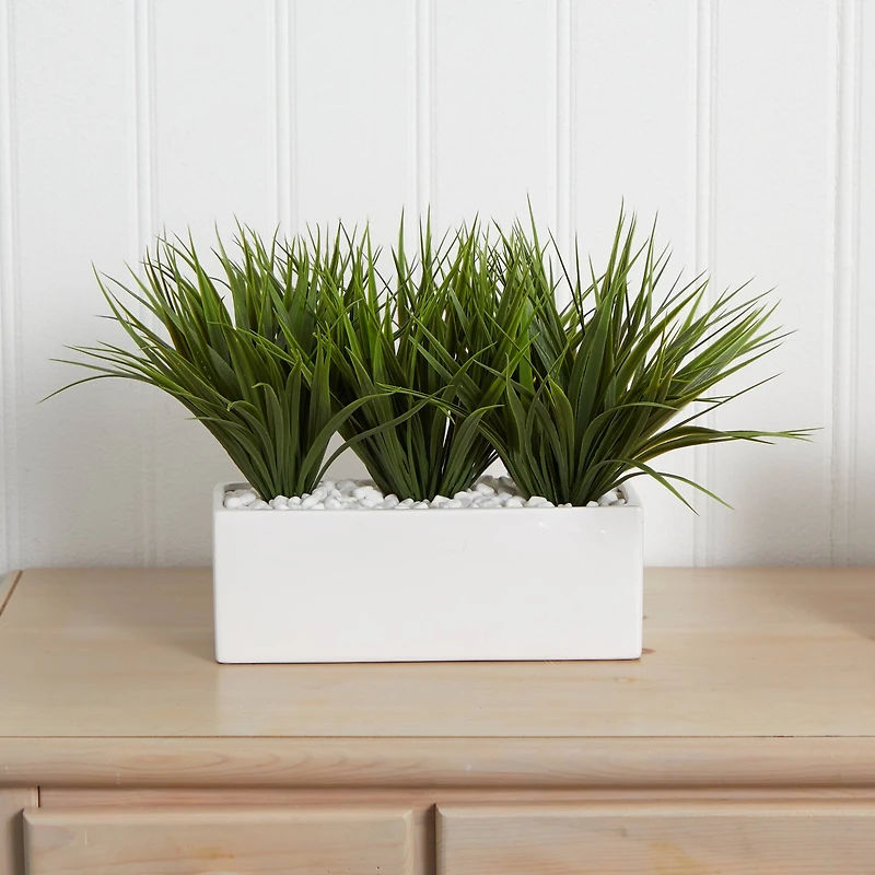 12" Vanilla Grass in White Rectangular Planter