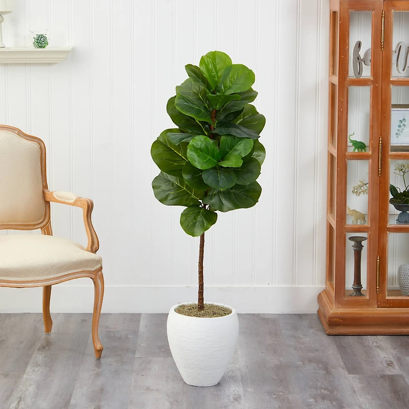4.5ft. Fiddle Leaf Fig Tree in White Planter