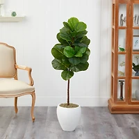 4.5ft. Fiddle Leaf Fig Tree in White Planter