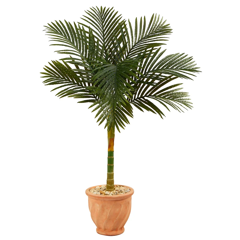 4.5ft. Golden Cane Palm Tree in Terra-Cotta Planter