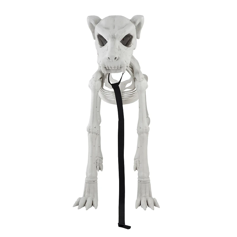 5ft. Poseable Dog Skeleton by Ashland®