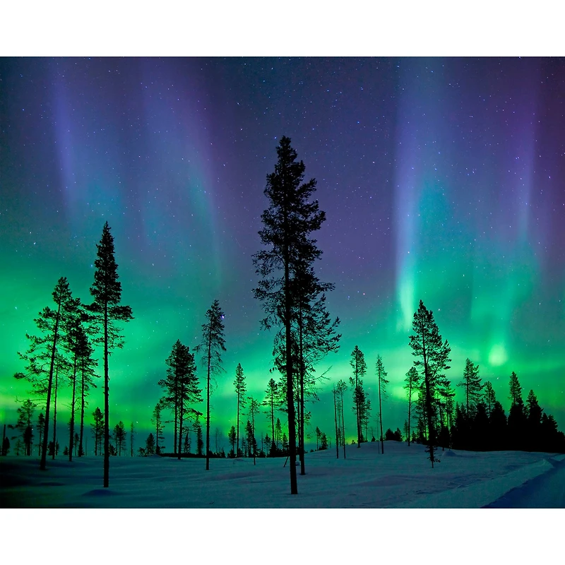 Wall Rogues Aurora Borealis Northern Lights Wall Mural