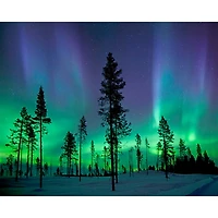 Wall Rogues Aurora Borealis Northern Lights Wall Mural