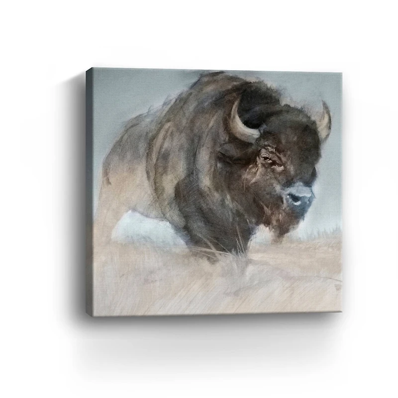 Prairie Bison Canvas Giclee