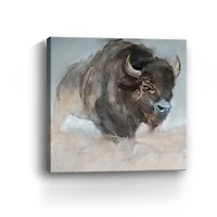 Prairie Bison Canvas Giclee