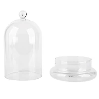 8.75" Clear Glass Cloche with Base by Ashland®
