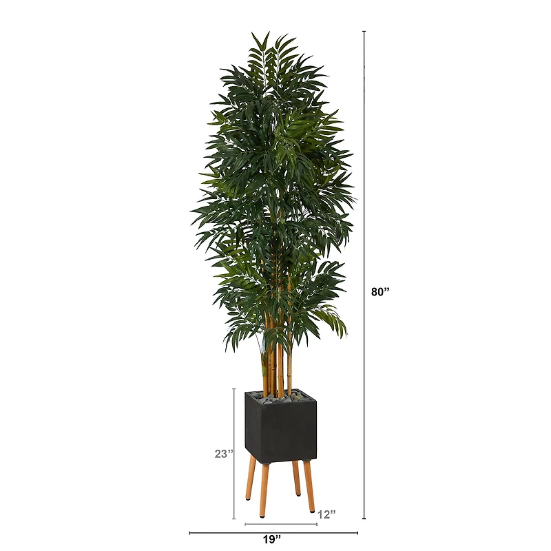 6.5ft. Phoenix Palm Tree in Black Planter with Stand