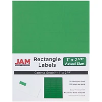 JAM Paper Green Mailing Address Label Combo Set