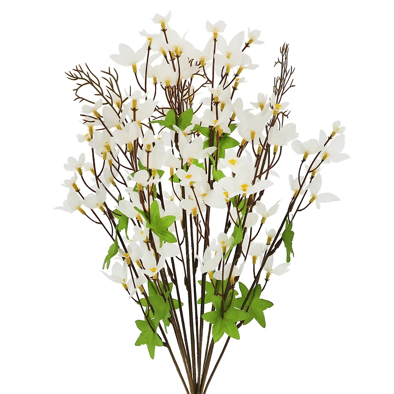 21" Forsythia Bush by Ashland