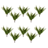 8 Pack: Green Boston Fern Bush by Ashland®
