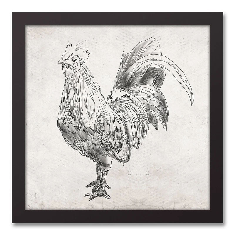 Sketched Black Chicken Canvas Wall Art in Black Frame