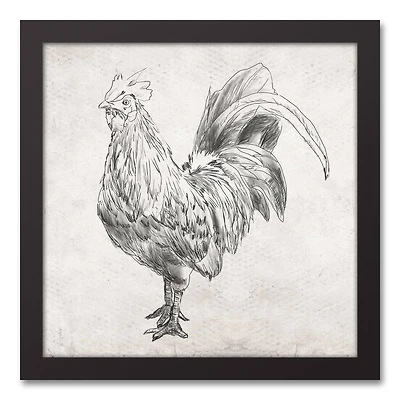 Sketched Black Chicken Canvas Wall Art in Black Frame
