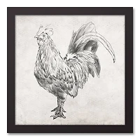 Sketched Black Chicken Canvas Wall Art in Black Frame