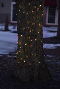 LED Net Style Tree Trunk Wrap Christmas Lights - Orange - 2' x 8' - Brown Wire