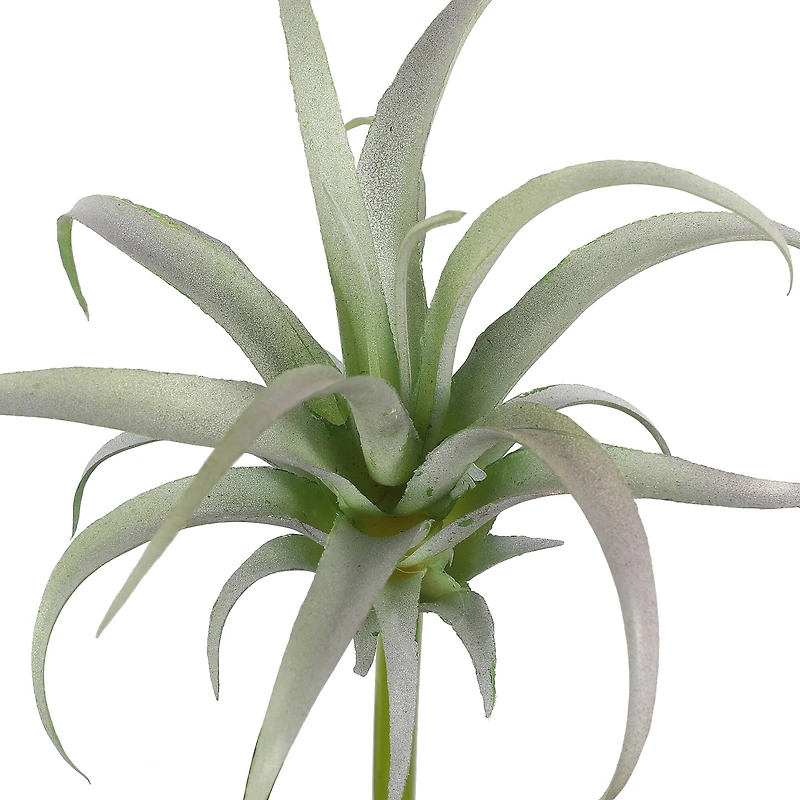 Assorted 7" Tillandsia Pick by Ashland®