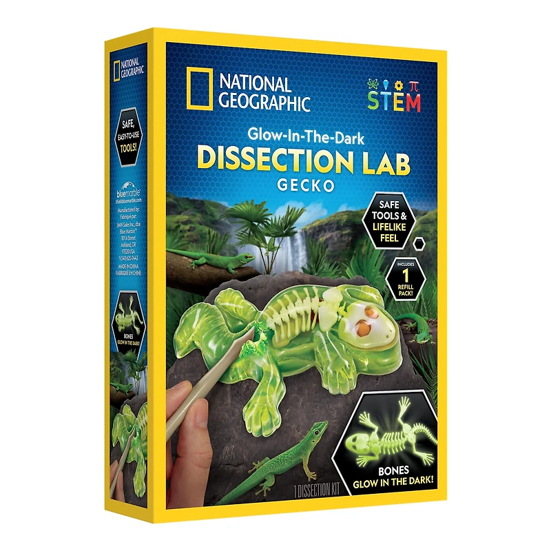National Geographic™ Glow-in-the-Dark Gecko Dissection Lab