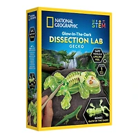 National Geographic™ Glow-in-the-Dark Gecko Dissection Lab