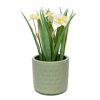 5.5" Green Scallop Ceramic Pot by Ashland®