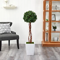 4ft. English Ivy Single Ball Topiary in White Metal Planter