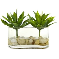 6.5" Mini Agave Succulent Arrangement in Glass Vase