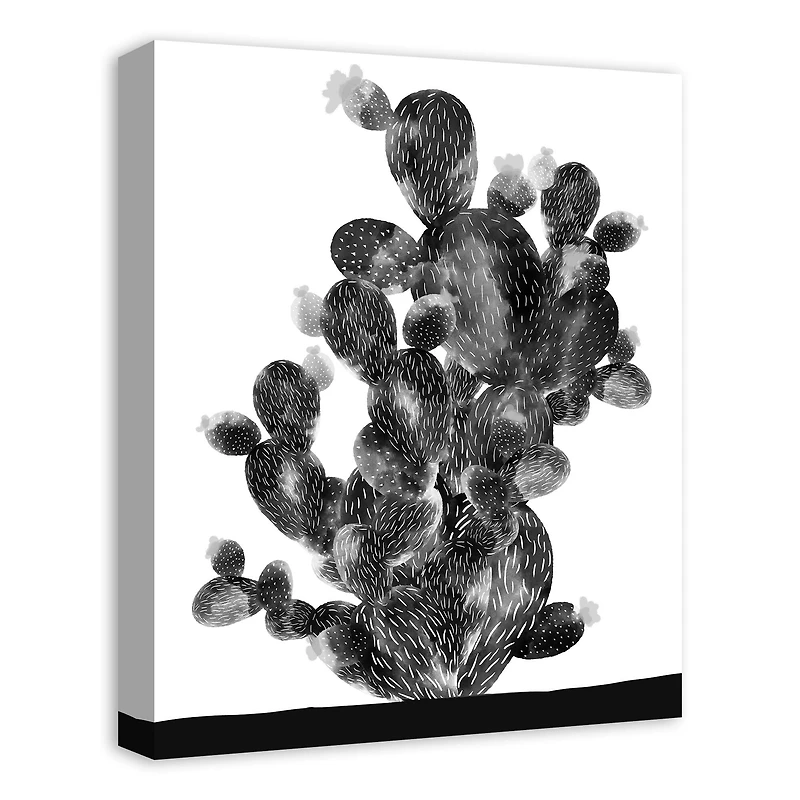 Multi BW Cactus 16" x 20" Canvas Wall Art