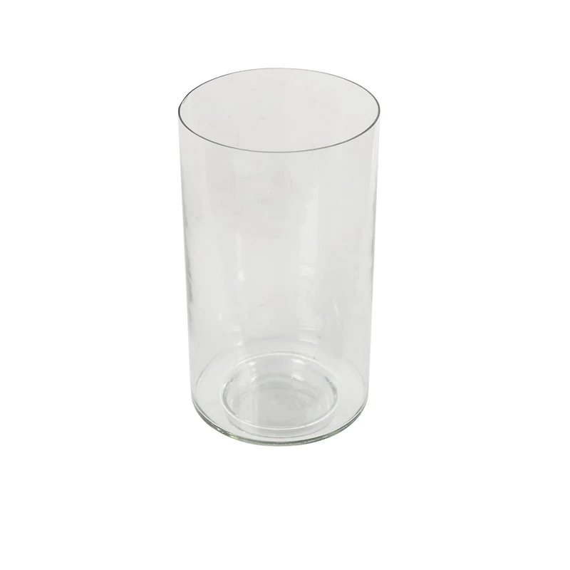 12" Clear Glass Wide Minimalistic Glass Vase