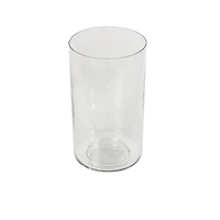 12" Clear Glass Wide Minimalistic Glass Vase