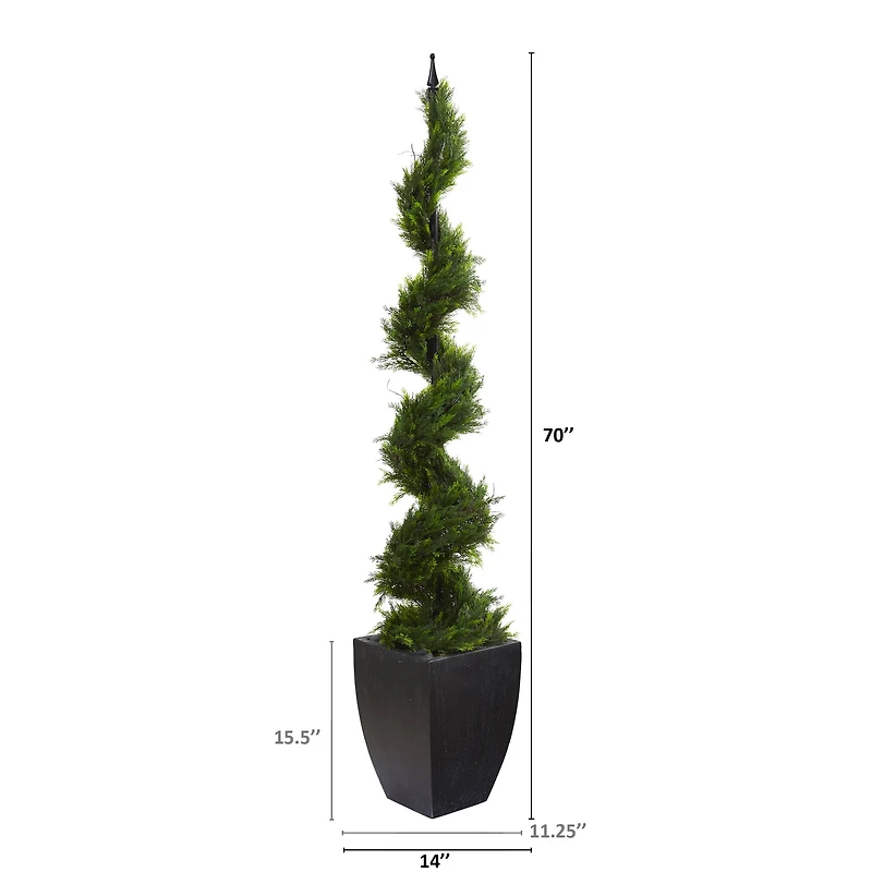 6ft. Cypress Spiral Tree in Black Planter