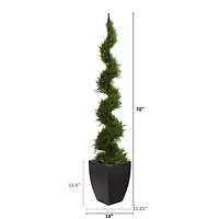 6ft. Cypress Spiral Tree in Black Planter