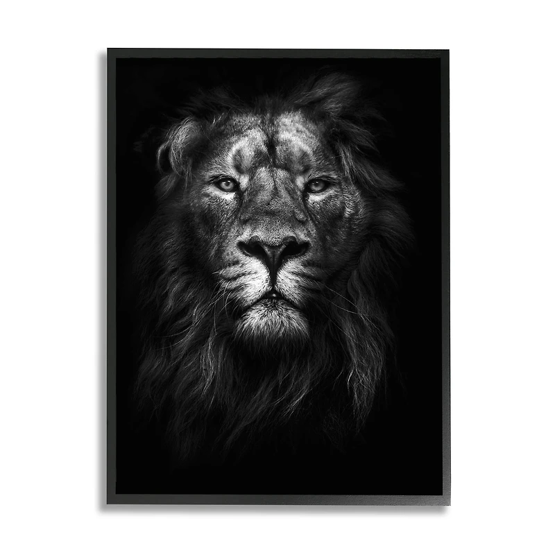 Stupell Industries King Of The Jungle Lion Portrait Black Framed Wall Art
