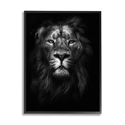 Stupell Industries King Of The Jungle Lion Portrait Black Framed Wall Art