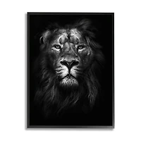 Stupell Industries King Of The Jungle Lion Portrait Black Framed Wall Art