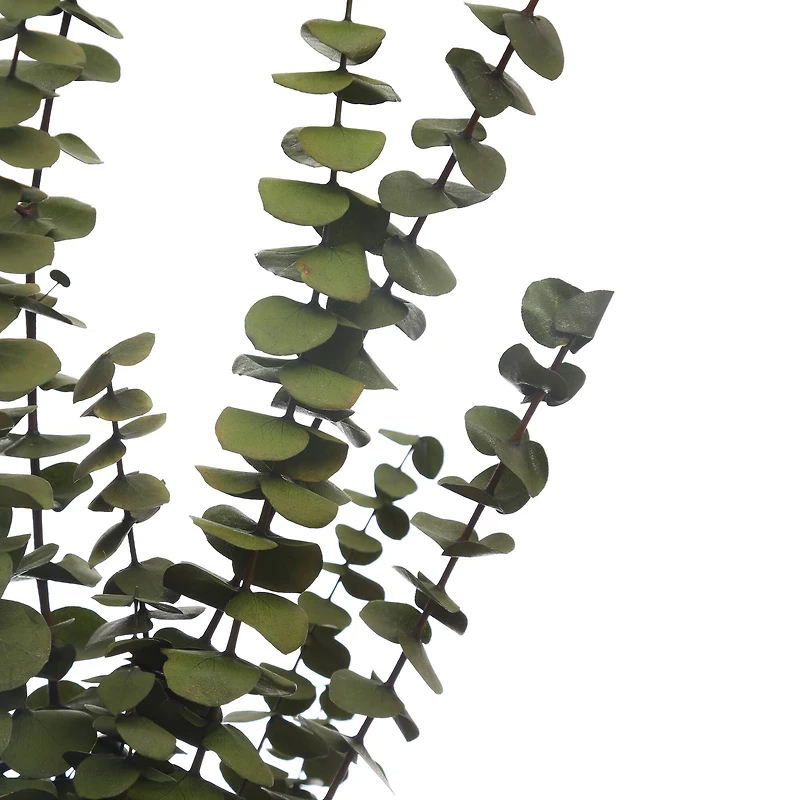 Kelly Green Dried Eucalyptus Bundle by Ashland®