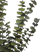Kelly Green Dried Eucalyptus Bundle by Ashland®