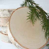 Wilson® Enterprises 7" Birch Rounds, 10ct.