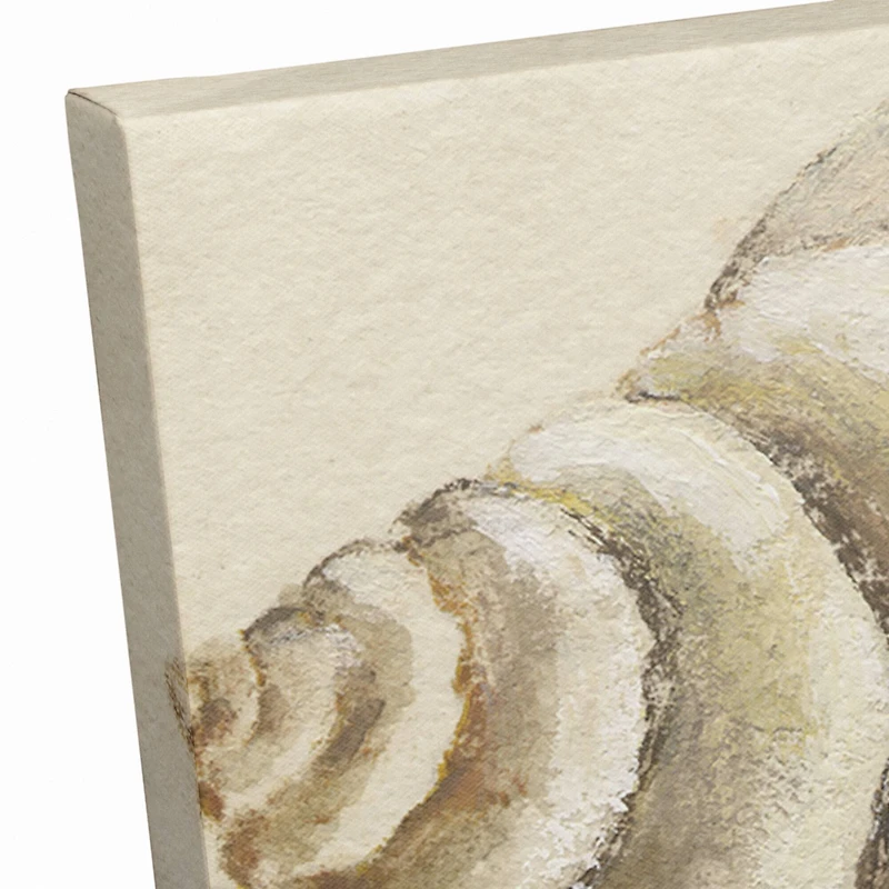 Conch And Sea Shells 20" x 20" Canvas Wall Art