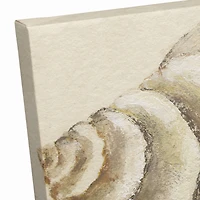 Conch And Sea Shells 20" x 20" Canvas Wall Art