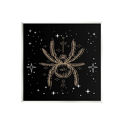 Stupell Industries Starry Halloween Spider Insect Wall Plaque Art