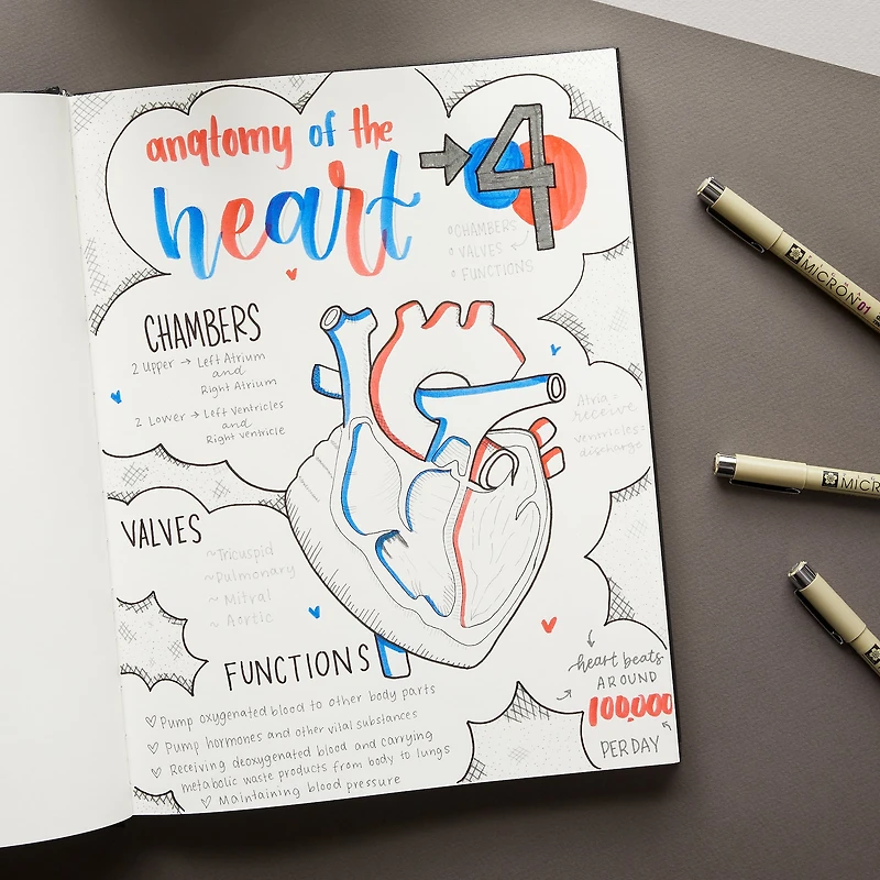 Micron® Fine & Bold Line Cool Gray Pen Set