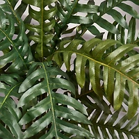 4ft. Evergreen Plant in Metal Planter
