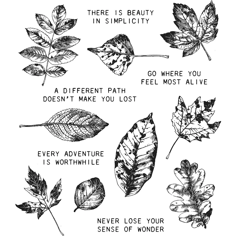 Stampers Anonymous Tim Holtz® Nature's Wonder Cling Stamps