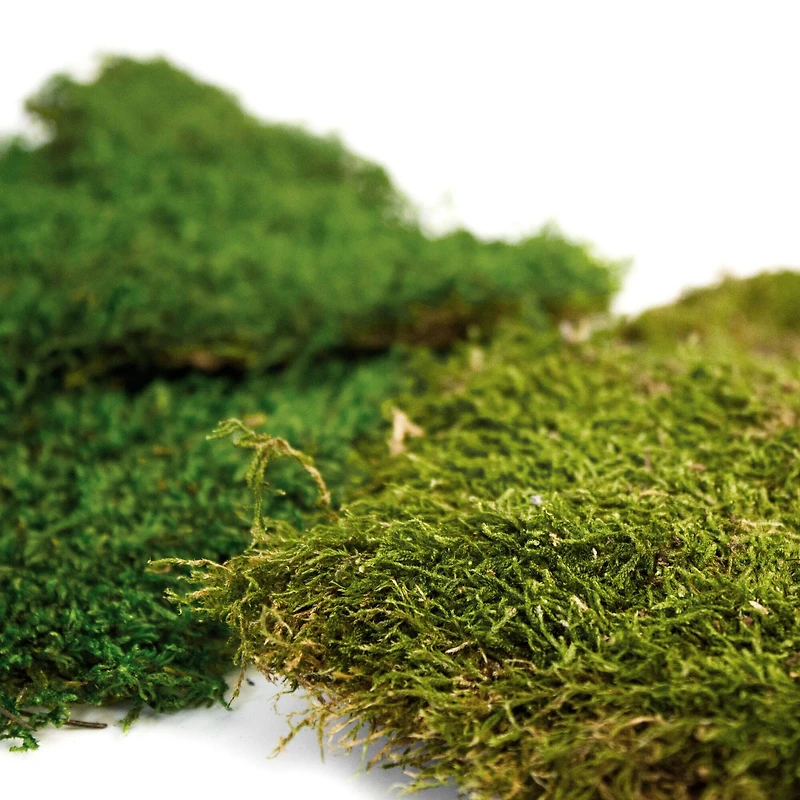 12 Pack: SuperMoss® Preserved Sheet Moss