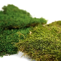 12 Pack: SuperMoss® Preserved Sheet Moss