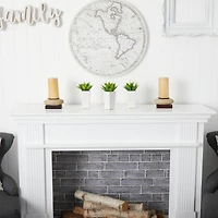 9" Mini Agave Arrangement in White Planter, 3ct.