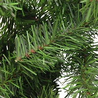 100ft. Green Canadian Pine Commercial Length Christmas Garland