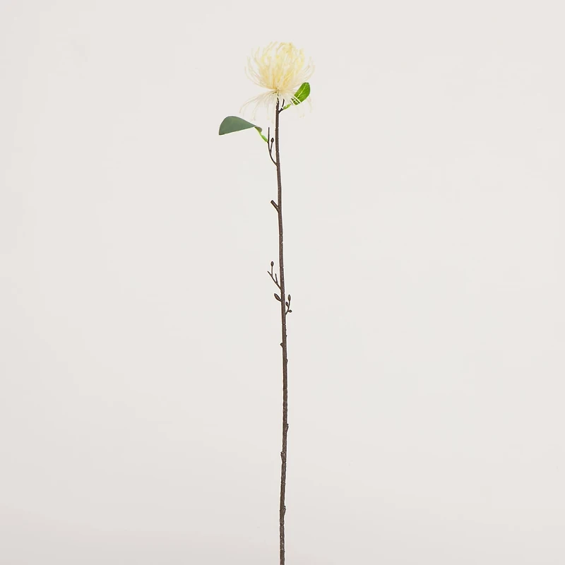 24in. Artificial Pincushion Protea Flower Stem - Set of 4