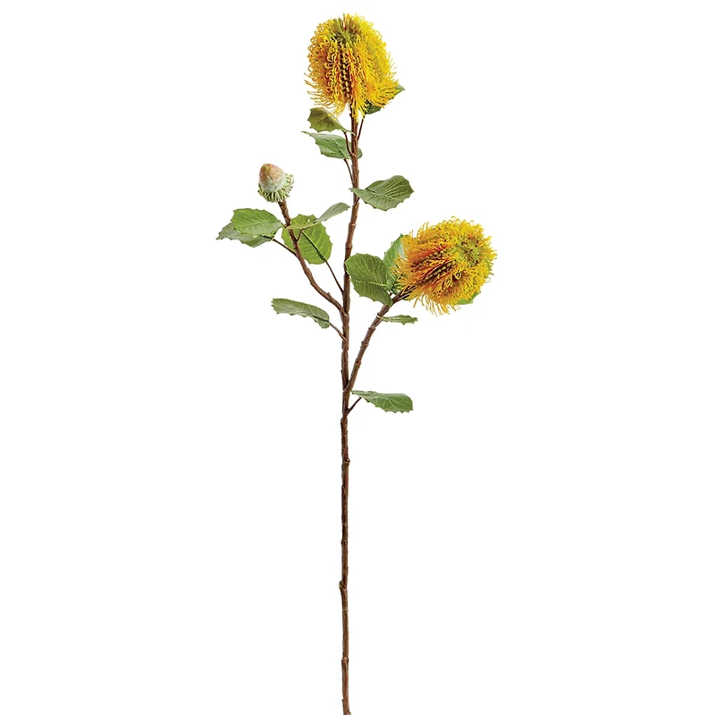 Yellow Banksia Spray 