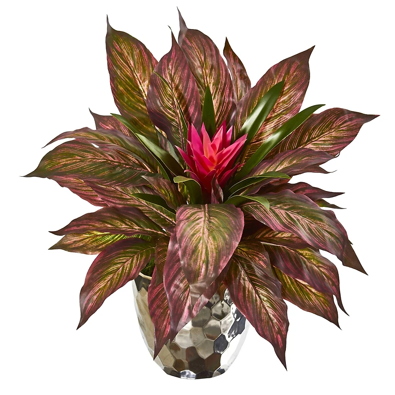 14" Ginger & Musa Leaf Plant in Silver Planter